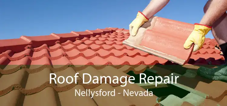 Roof Damage Repair Nellysford - Nevada