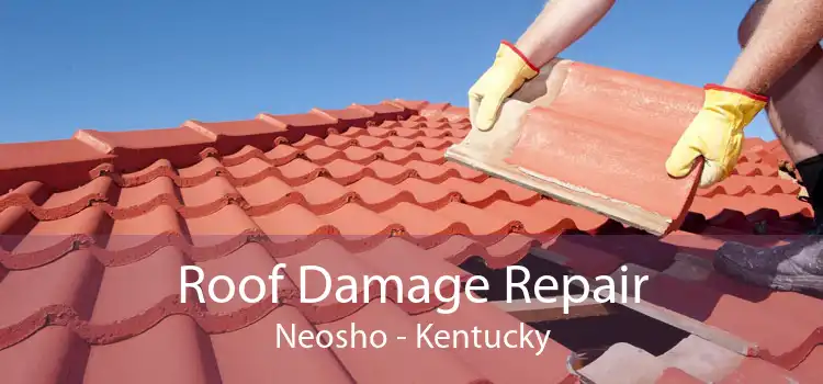 Roof Damage Repair Neosho - Kentucky