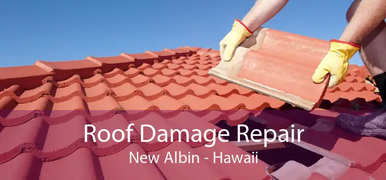 Roof Damage Repair New Albin - Hawaii