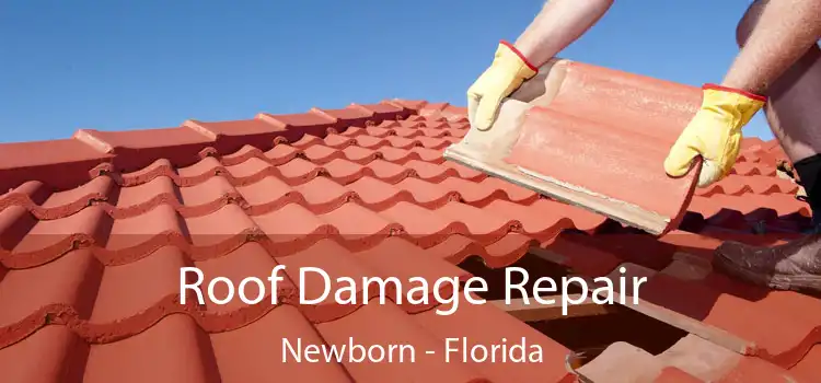 Roof Damage Repair Newborn - Florida