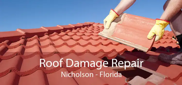 Roof Damage Repair Nicholson - Florida