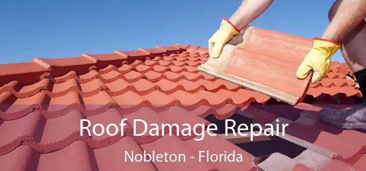 Roof Damage Repair Nobleton - Florida