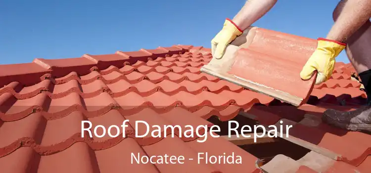 Roof Damage Repair Nocatee - Florida