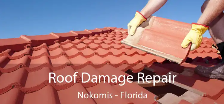 Roof Damage Repair Nokomis - Florida