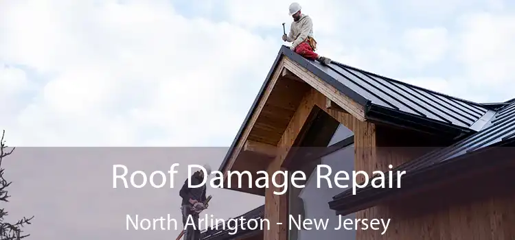 Roof Damage Repair North Arlington - New Jersey