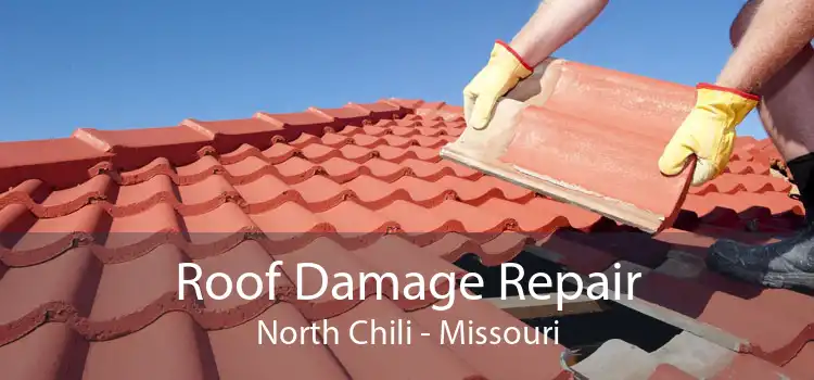 Roof Damage Repair North Chili - Missouri