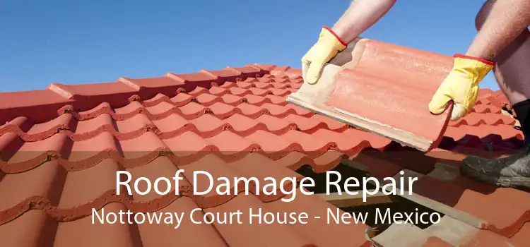 Roof Damage Repair Nottoway Court House - New Mexico