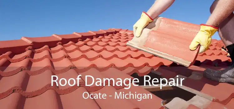Roof Damage Repair Ocate - Michigan