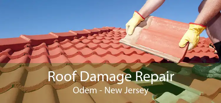 Roof Damage Repair Odem - New Jersey