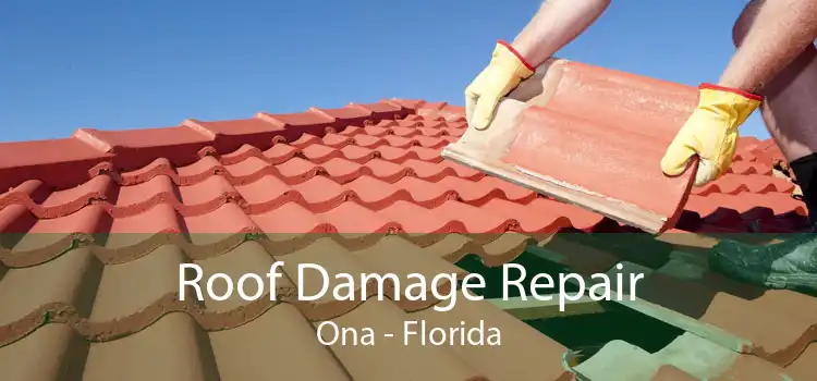 Roof Damage Repair Ona - Florida