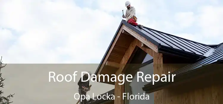 Roof Damage Repair Opa Locka - Florida