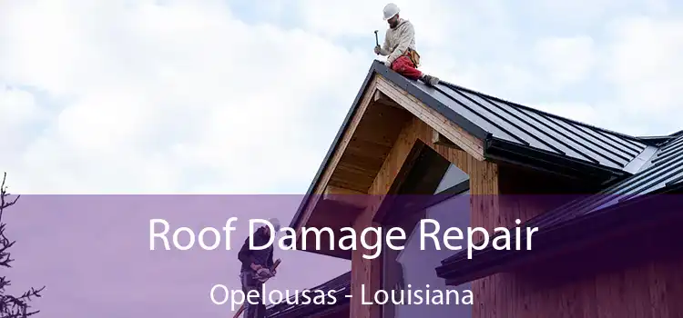 Roof Damage Repair Opelousas - Louisiana