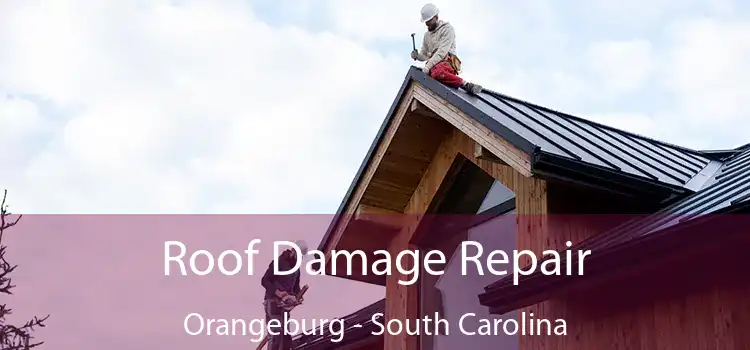 Roof Damage Repair Orangeburg - South Carolina