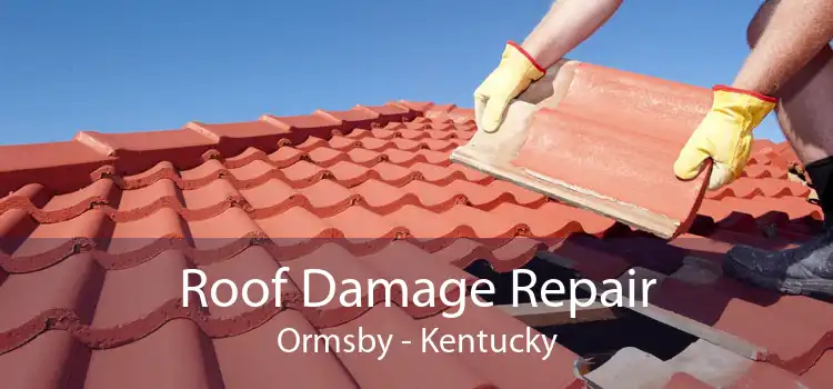 Roof Damage Repair Ormsby - Kentucky