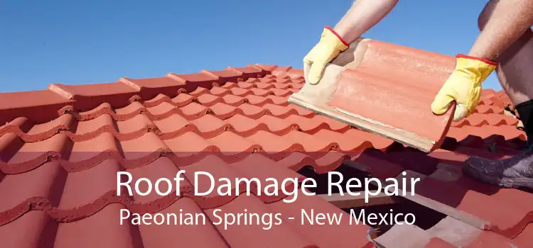 Roof Damage Repair Paeonian Springs - New Mexico