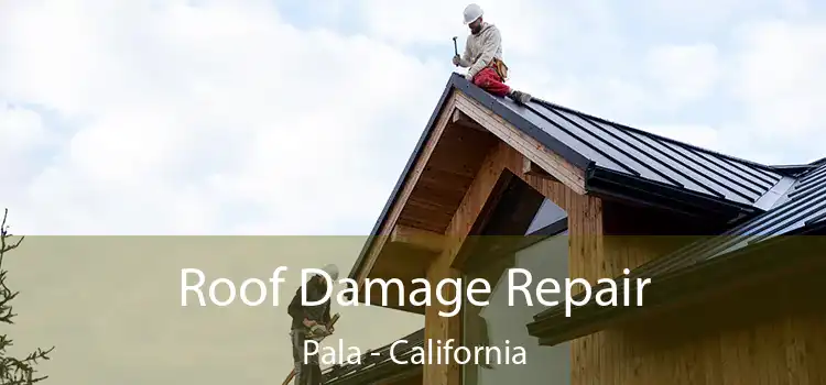 Roof Damage Repair Pala - California