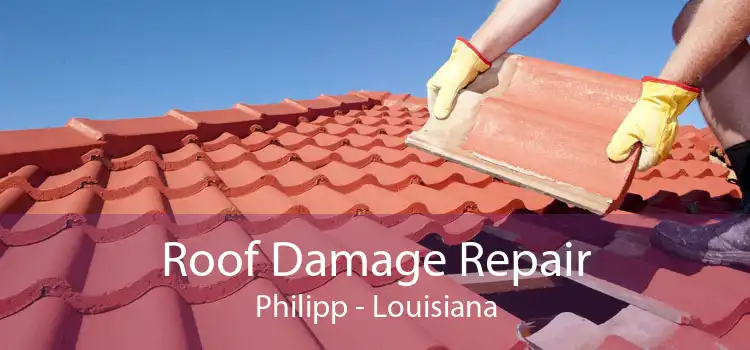 Roof Damage Repair Philipp - Louisiana