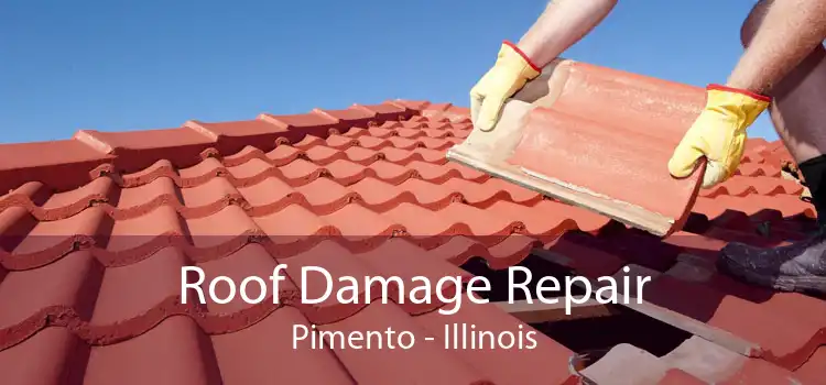 Roof Damage Repair Pimento - Illinois