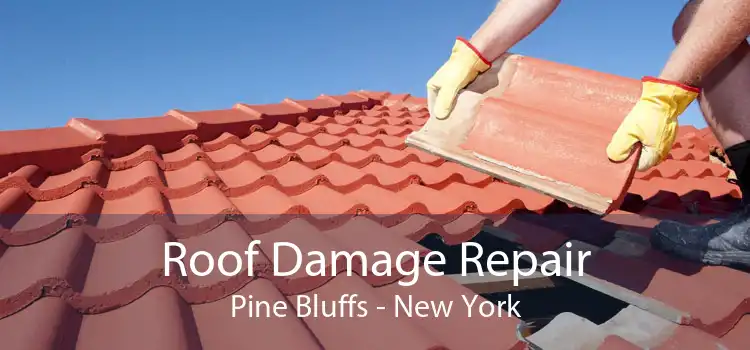 Roof Damage Repair Pine Bluffs - New York