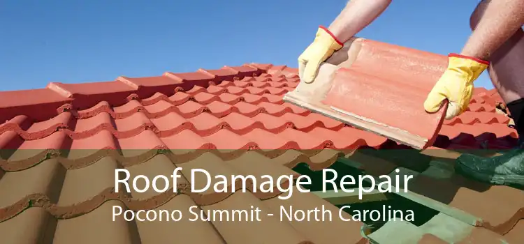 Roof Damage Repair Pocono Summit - North Carolina