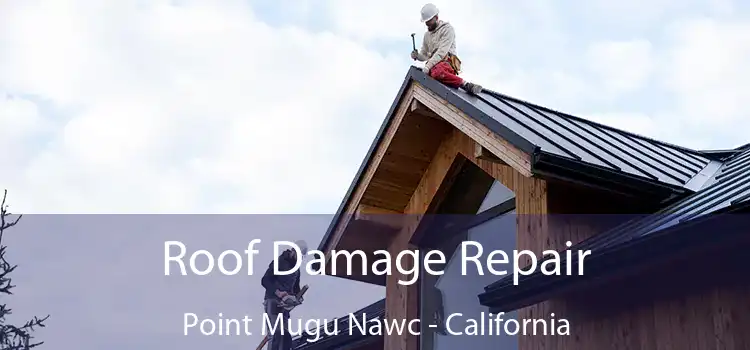 Roof Damage Repair Point Mugu Nawc - California