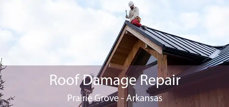 Roof Damage Repair Prairie Grove - Arkansas