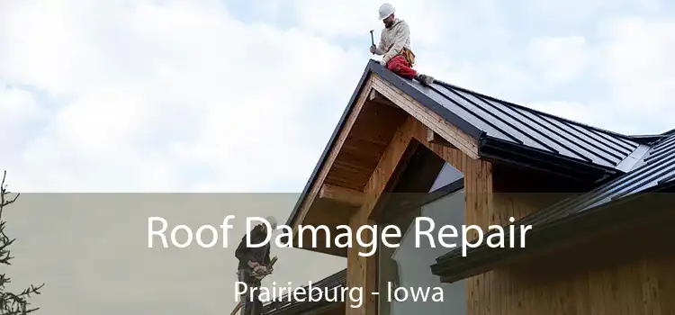 Roof Damage Repair Prairieburg - Iowa