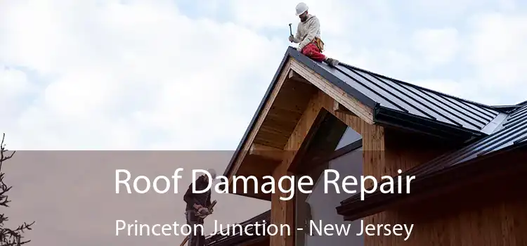 Roof Damage Repair Princeton Junction - New Jersey