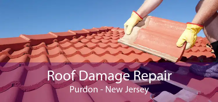 Roof Damage Repair Purdon - New Jersey