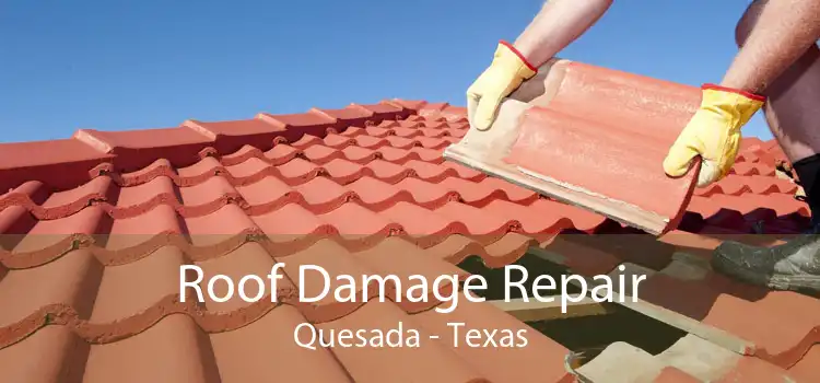 Roof Damage Repair Quesada - Texas