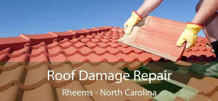 Roof Damage Repair Rheems - North Carolina