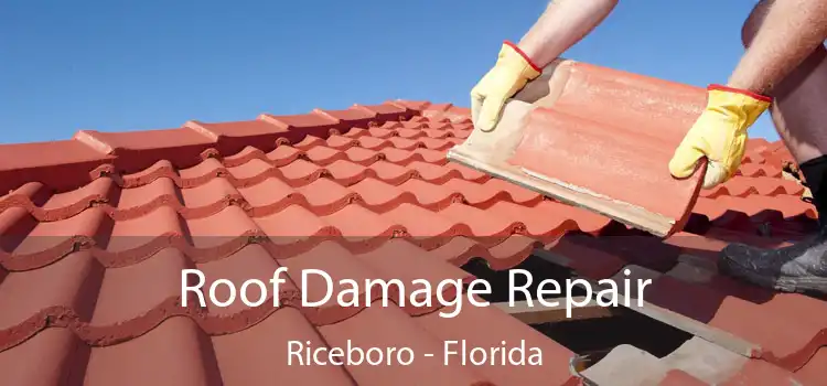 Roof Damage Repair Riceboro - Florida