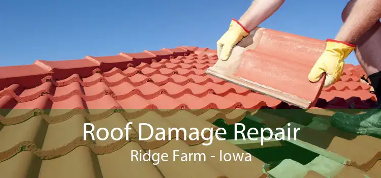 Roof Damage Repair Ridge Farm - Iowa