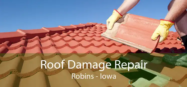 Roof Damage Repair Robins - Iowa