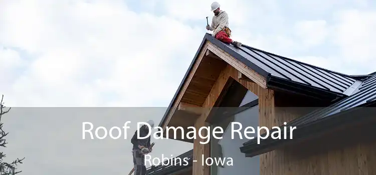 Roof Damage Repair Robins - Iowa