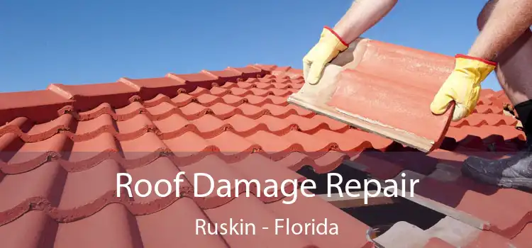 Roof Damage Repair Ruskin - Florida