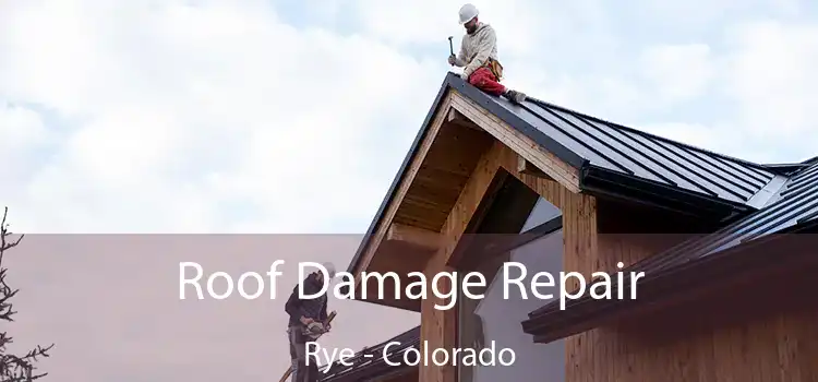 Roof Damage Repair Rye - Colorado