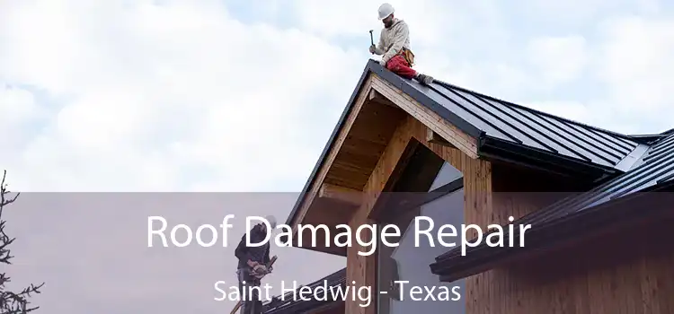Roof Damage Repair Saint Hedwig - Texas