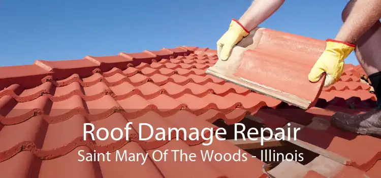 Roof Damage Repair Saint Mary Of The Woods - Illinois