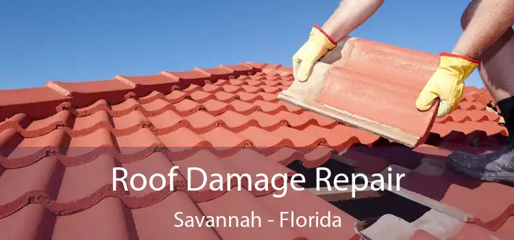 Roof Damage Repair Savannah - Florida