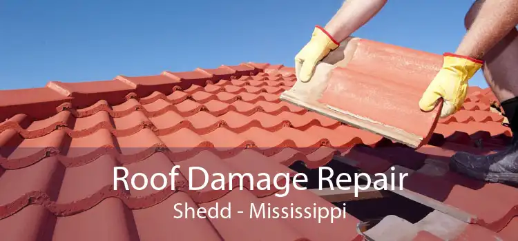 Roof Damage Repair Shedd - Mississippi