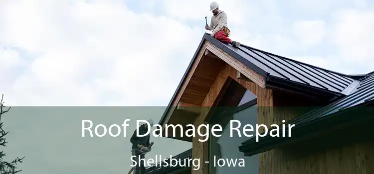 Roof Damage Repair Shellsburg - Iowa