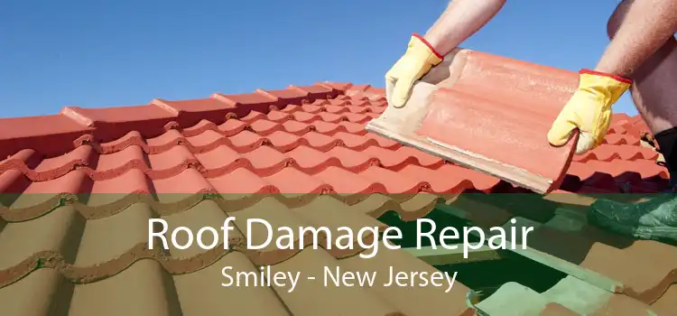 Roof Damage Repair Smiley - New Jersey