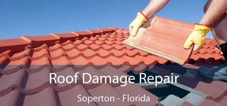 Roof Damage Repair Soperton - Florida