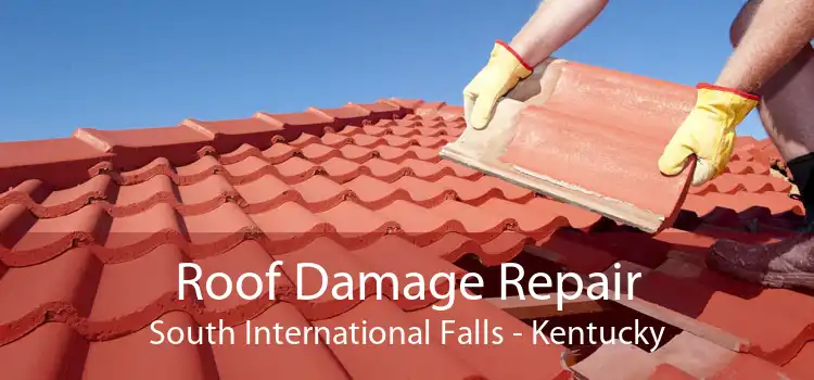 Roof Damage Repair South International Falls - Kentucky