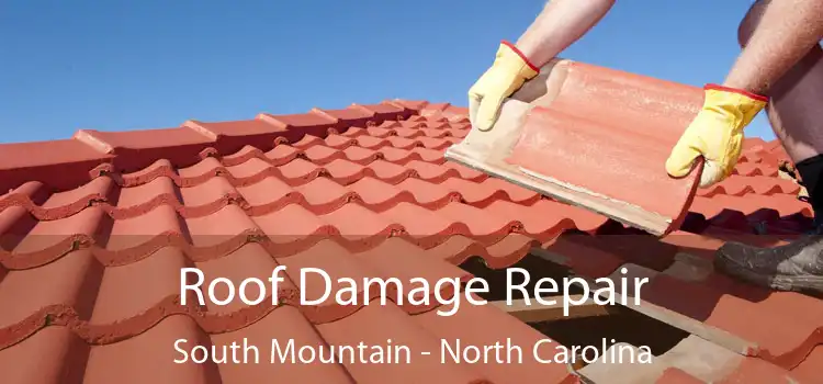 Roof Damage Repair South Mountain - North Carolina