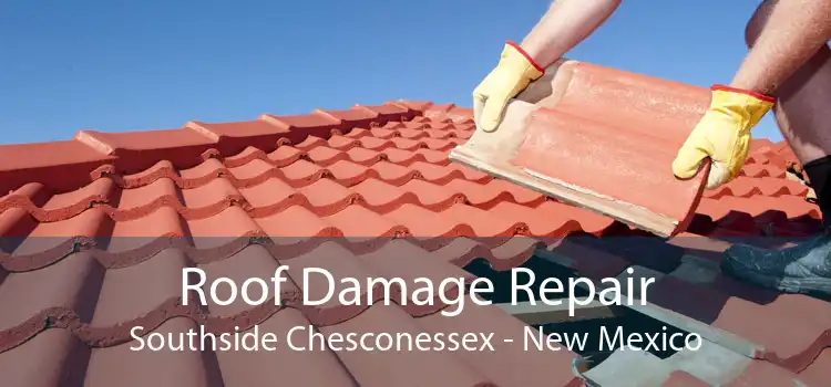 Roof Damage Repair Southside Chesconessex - New Mexico