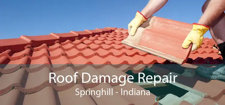 Roof Damage Repair Springhill - Indiana