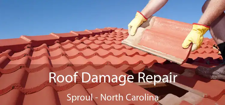 Roof Damage Repair Sproul - North Carolina