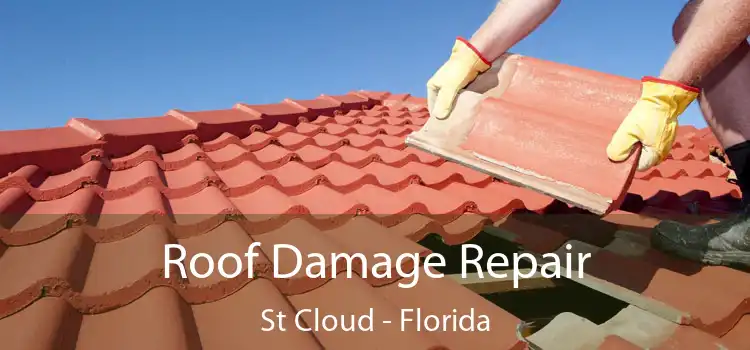 Roof Damage Repair St Cloud - Florida